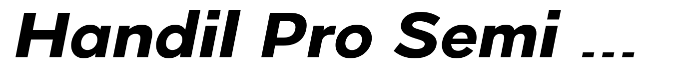 Handil Pro Semi Bold Italic